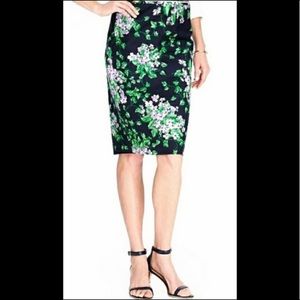 NWT Talbots “The Oprah Magazine Collection” Skirt